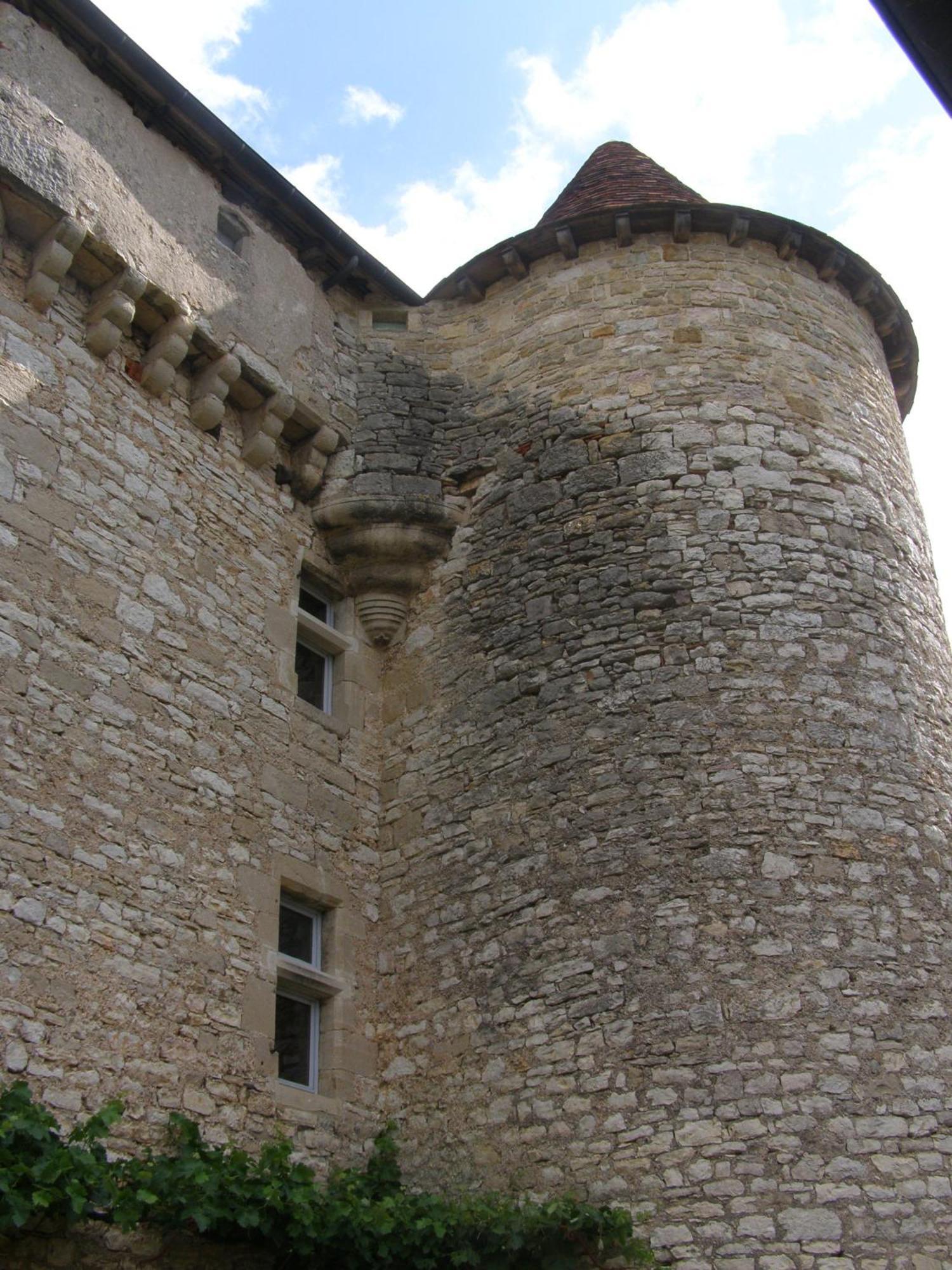 Chateau De Camboulan Ambeyrac 외부 사진