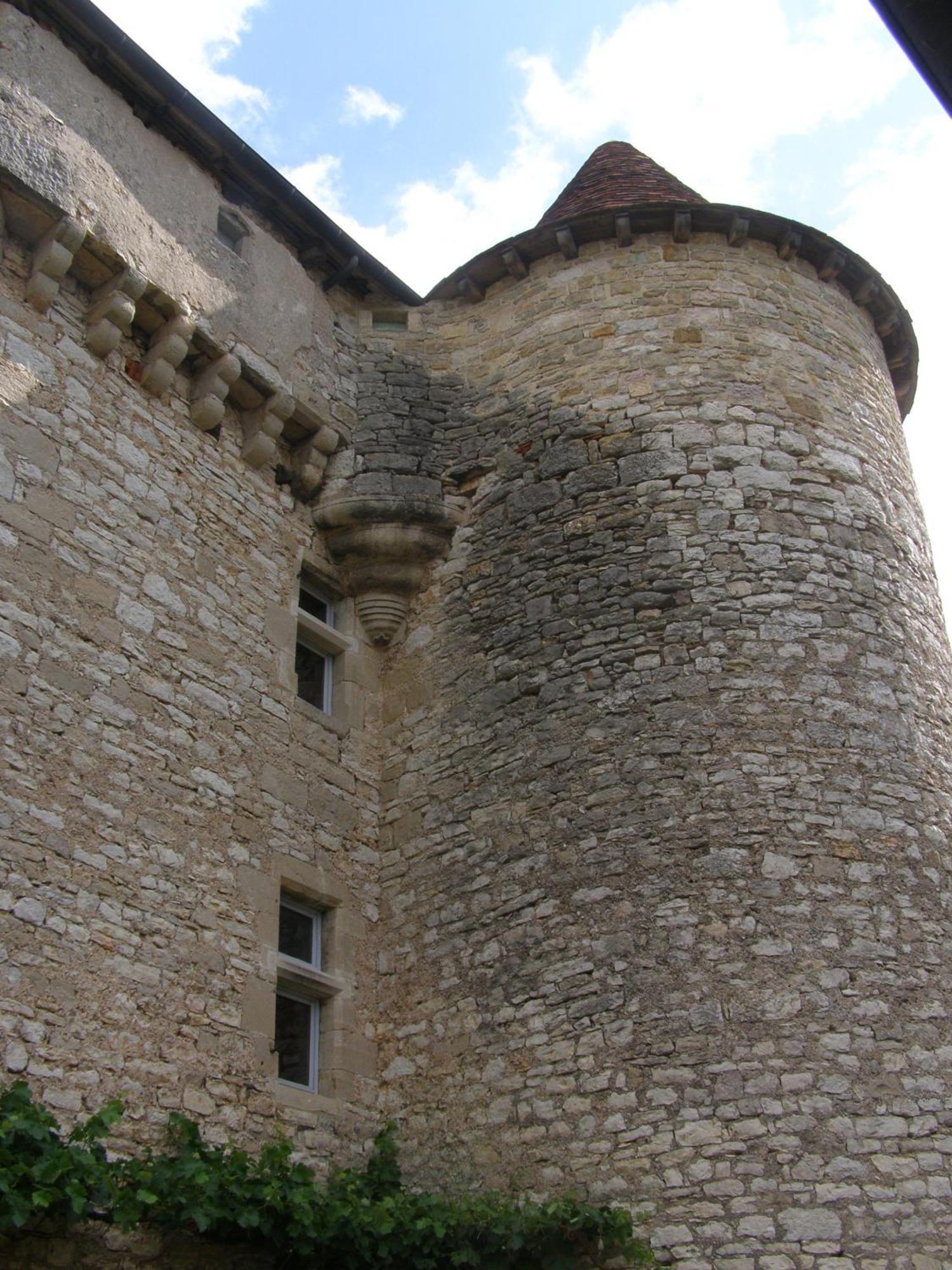 Ambeyrac Chateau De Camboulan B&B 외부 사진