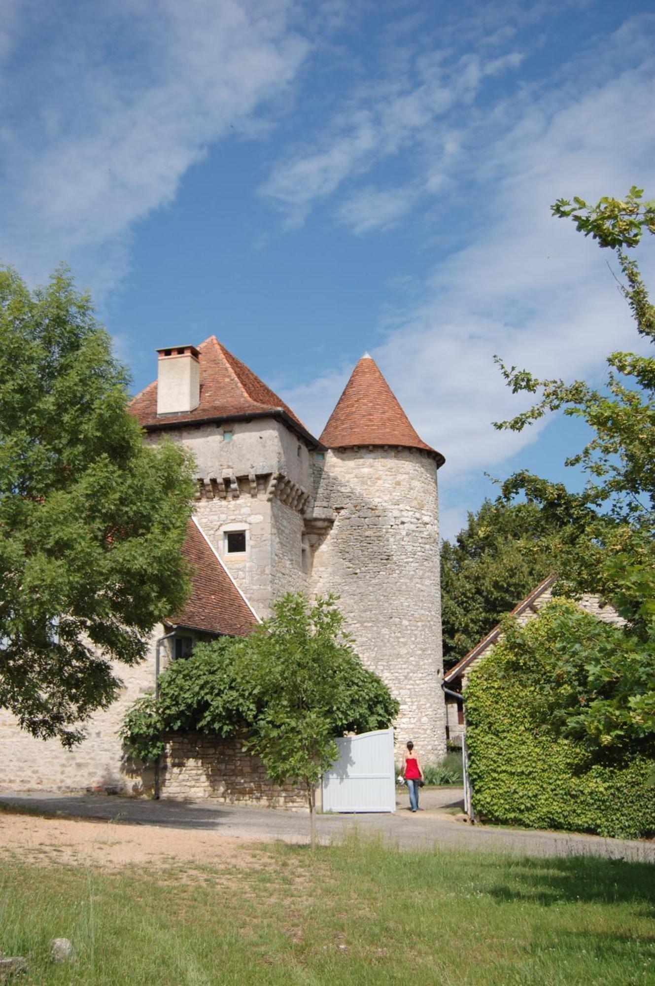 Chateau De Camboulan Ambeyrac 외부 사진